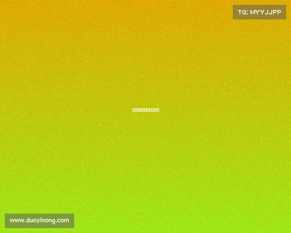 琳篮球赛事、搜索林篮网